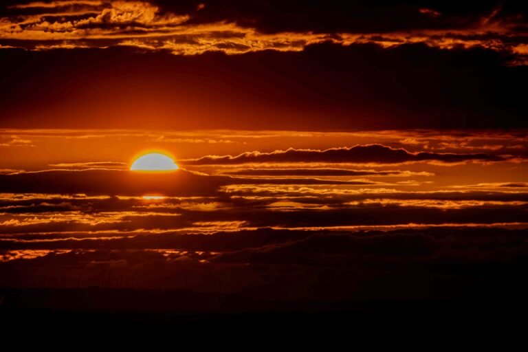 The Grand Finale: From Support Associate to Network Engineer