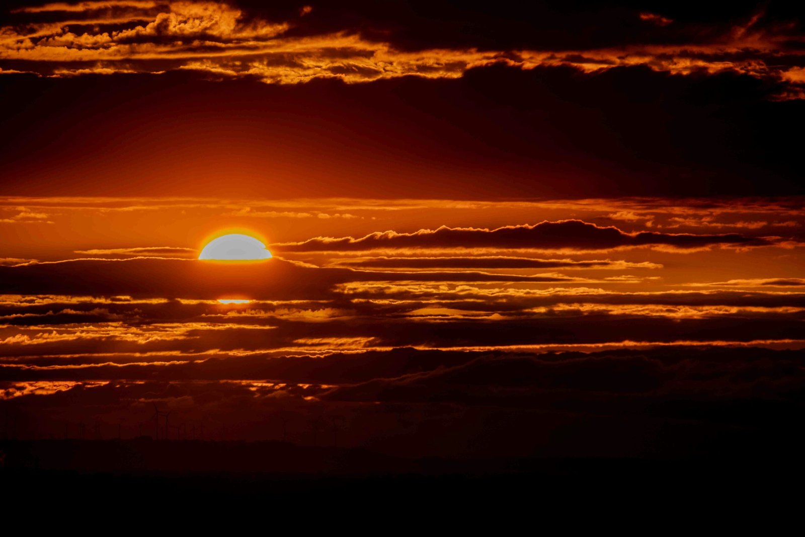 The Grand Finale: From Support Associate to Network Engineer